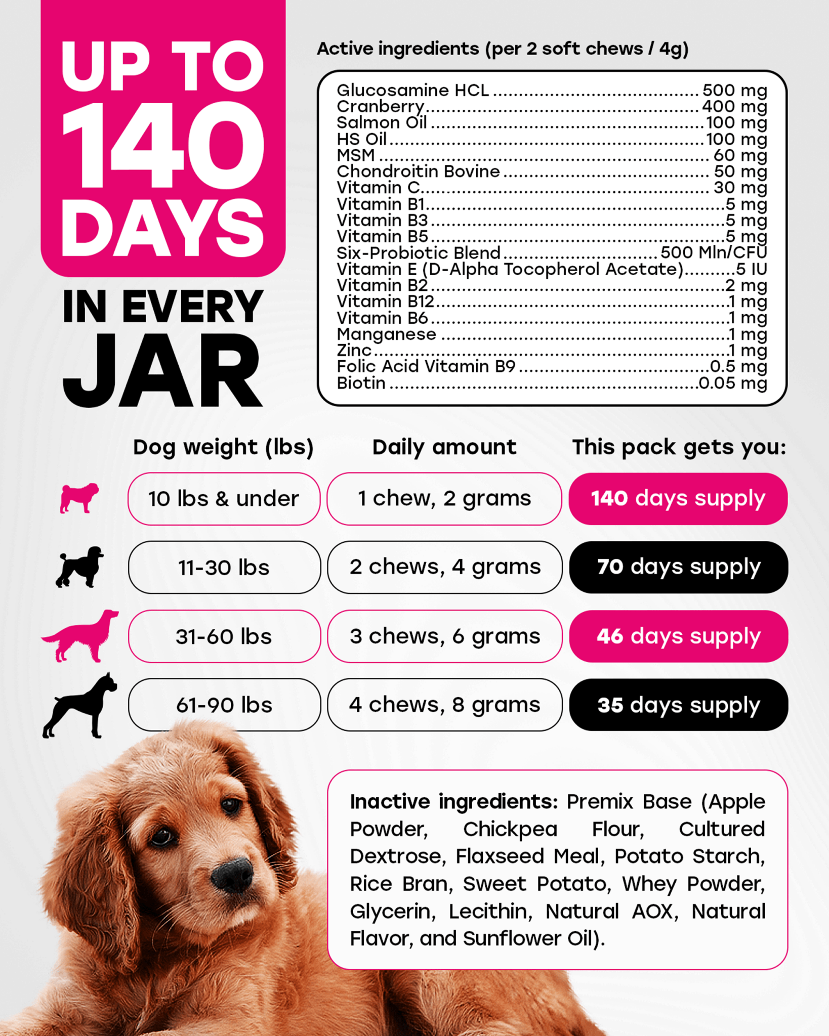 24 - in - 1 Daily Multivitamin Chews with 8 Essential Vitamins, Biotin, Probiotics & Glucosamine - Pup Choice - healthy choices for your pup