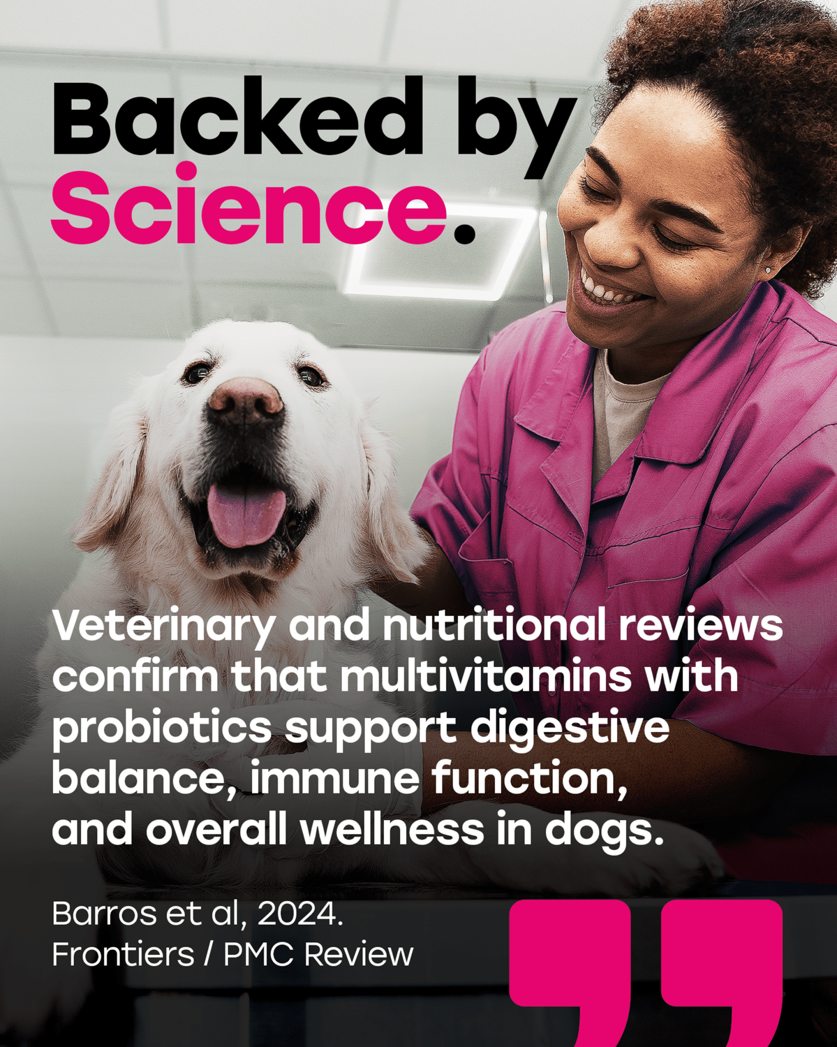 24 - in - 1 Daily Multivitamin Chews with 8 Essential Vitamins, Biotin, Probiotics & Glucosamine - Pup Choice - healthy choices for your pup