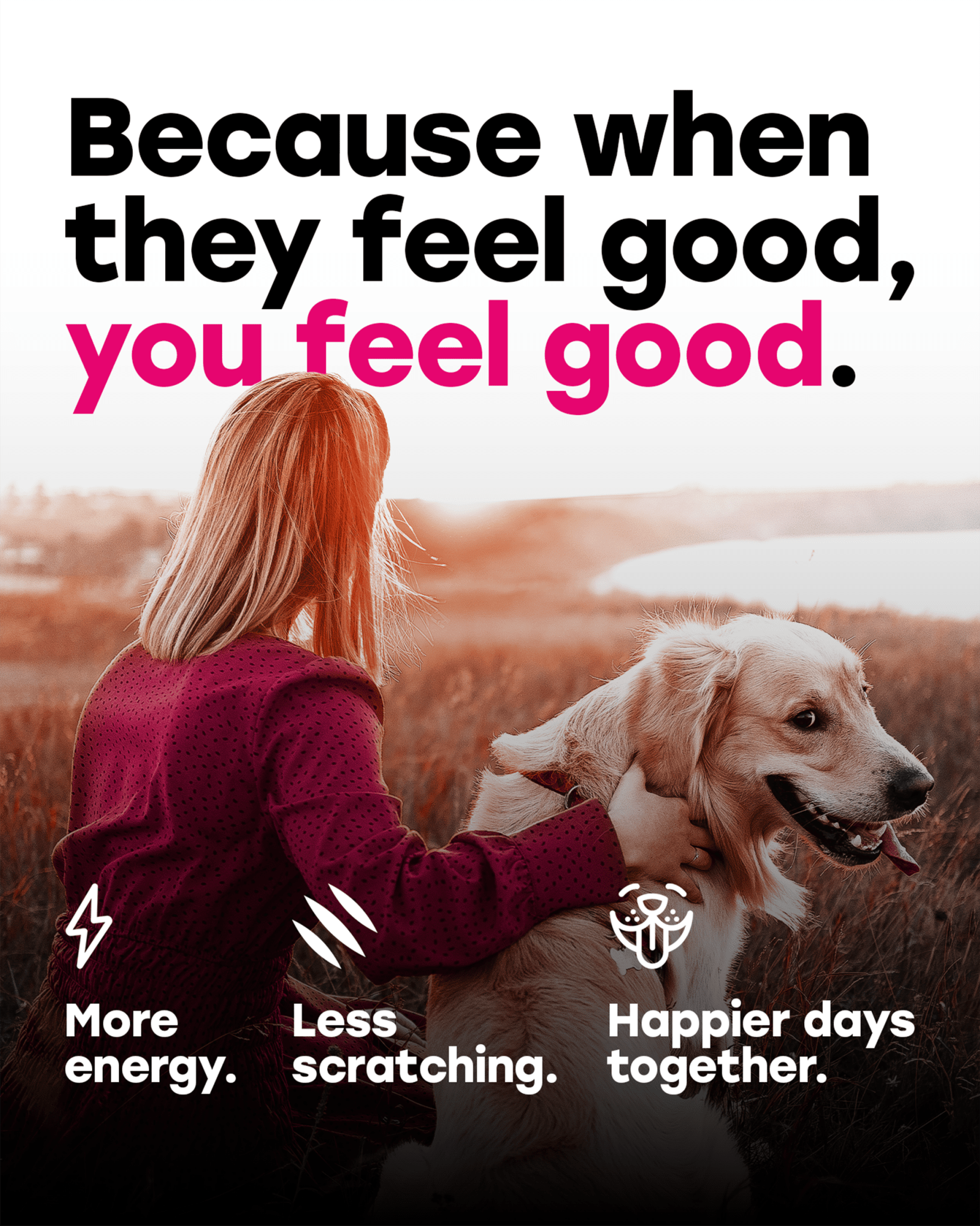 24 - in - 1 Daily Multivitamin Chews with 8 Essential Vitamins, Biotin, Probiotics & Glucosamine - Pup Choice - healthy choices for your pup