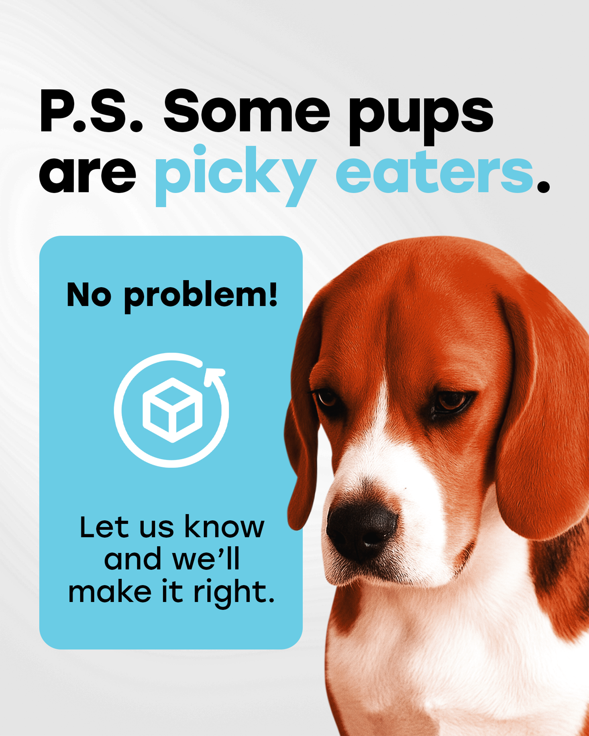 Probiotic Digestive Chews with Prebiotics, Enzymes, Turmeric, Omega-3, Fiber & More.