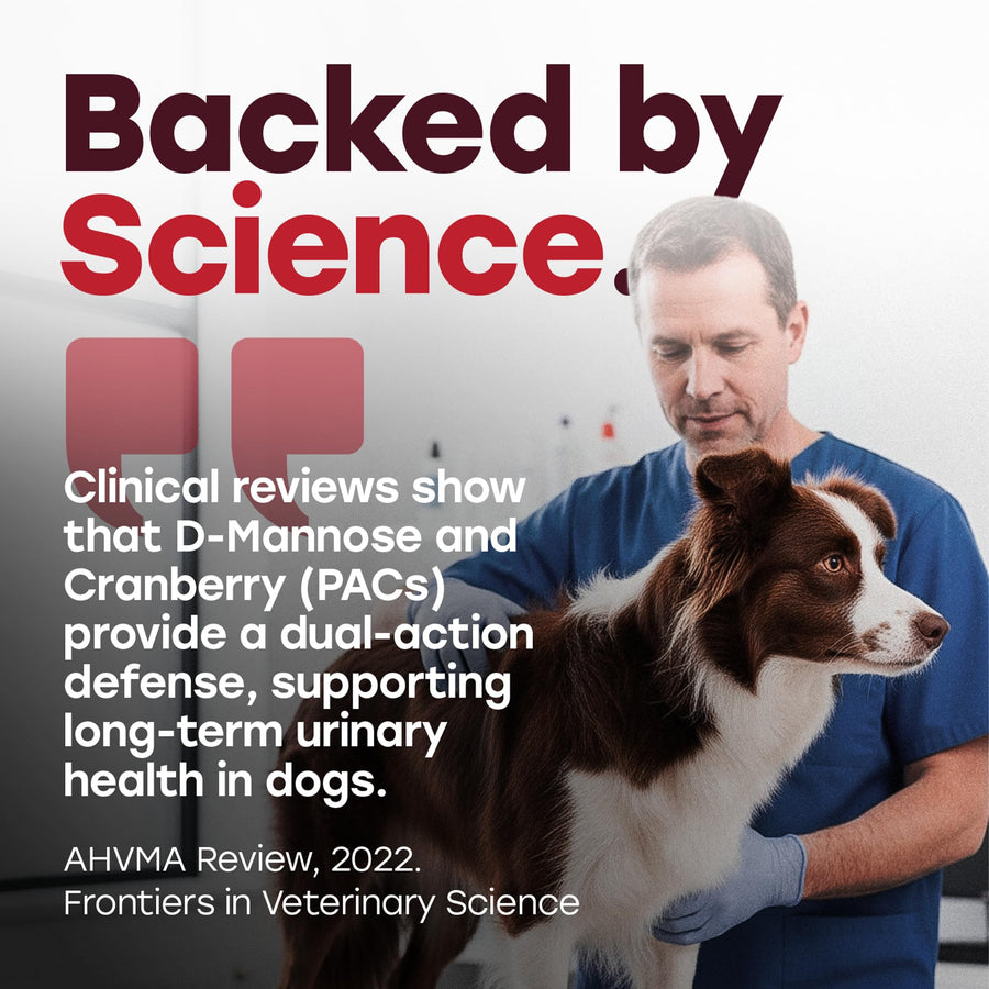 Cranberry Urinary Support Chews for Dogs – 140 Soft Chews with D-Mannose & Probiotics - Pup Choice - healthy choices for your pup
