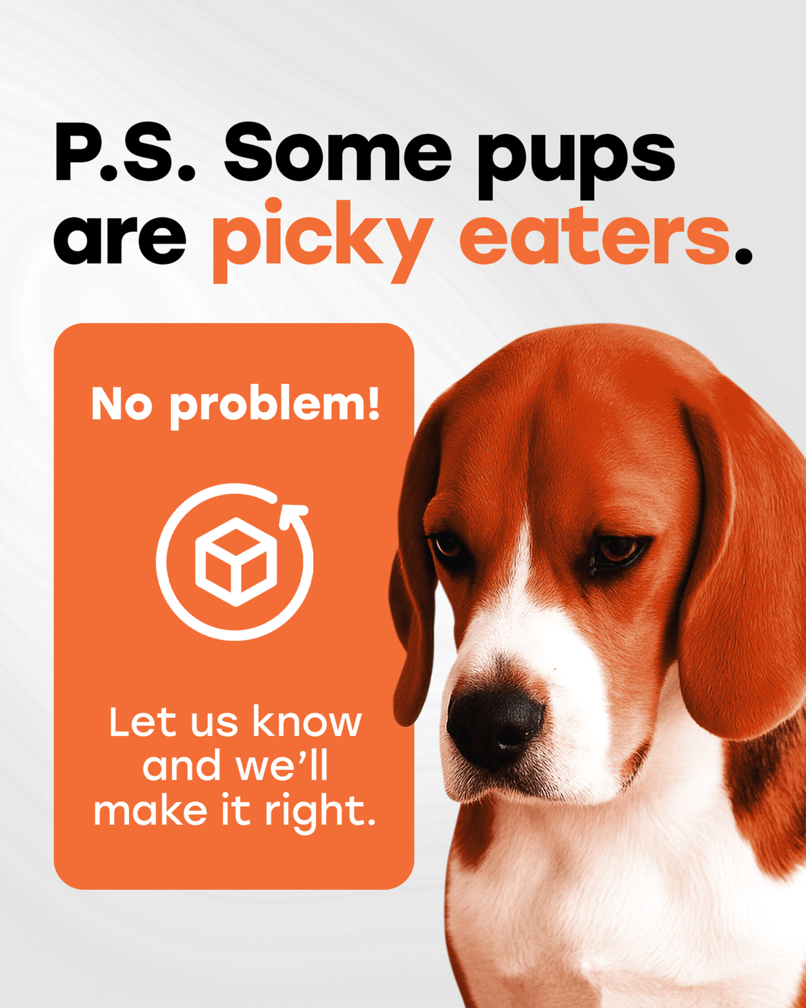 Hip & Joint Mobility Chews with 500 mg Glucosamine, , Collagen, Chondroitin Bovine, Turmeric & More - Pup Choice - healthy choices for your pup