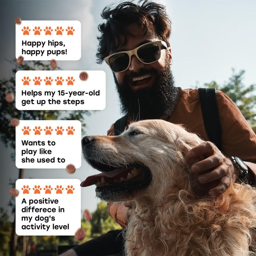Hip & Joint Mobility Chews with 500 mg Glucosamine, Collagen, Chondroitin Bovine, Turmeric & More - Pup Choice - healthy choices for your pup