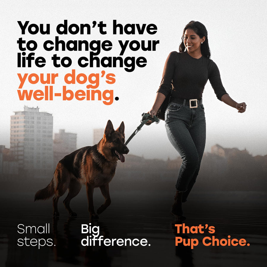 Hip & Joint Mobility Chews with 500 mg Glucosamine, Collagen, Chondroitin Bovine, Turmeric & More - Pup Choice - healthy choices for your pup