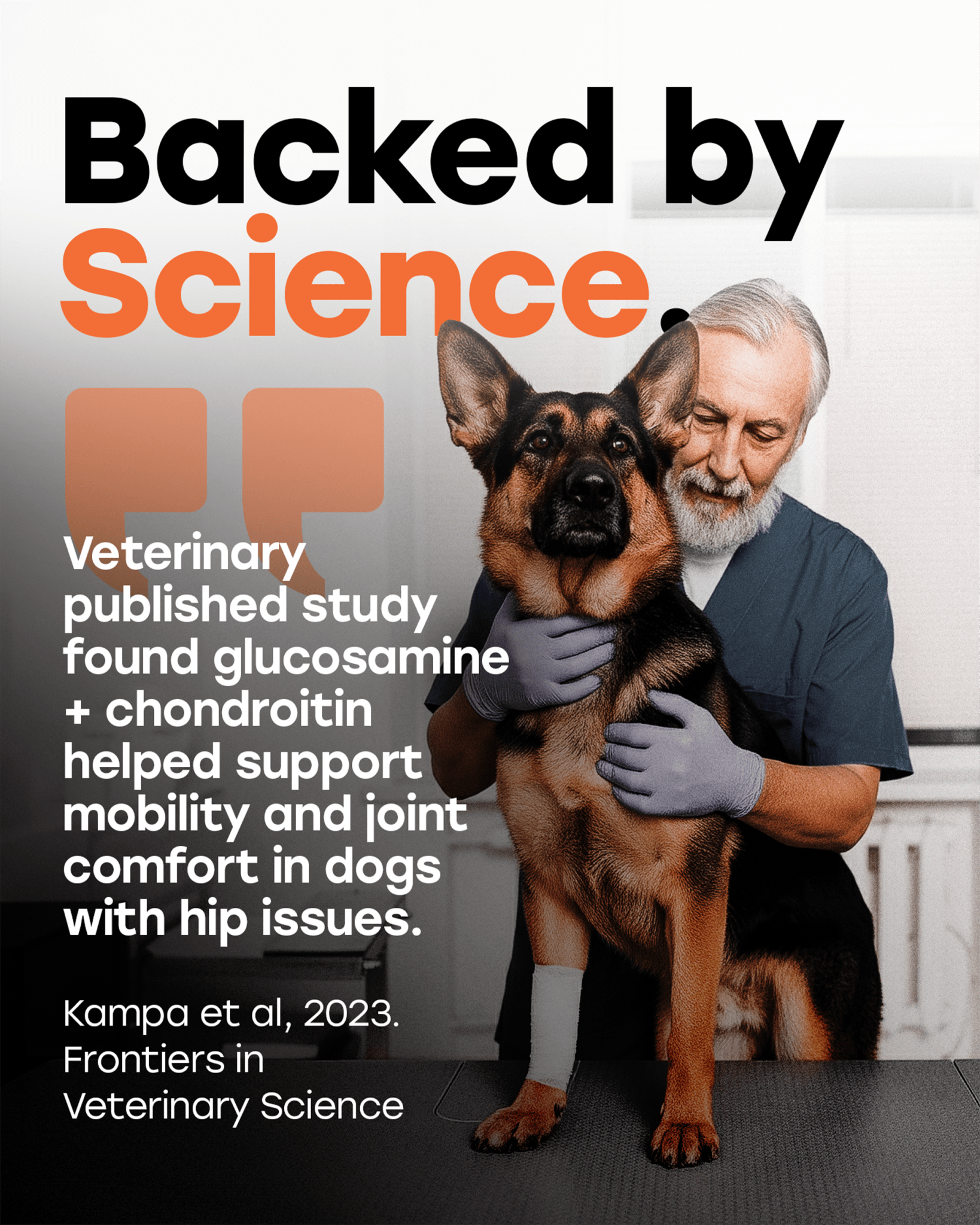 Hip & Joint Mobility Chews with 500 mg Glucosamine, , Collagen, Chondroitin Bovine, Turmeric & More - Pup Choice - healthy choices for your pup