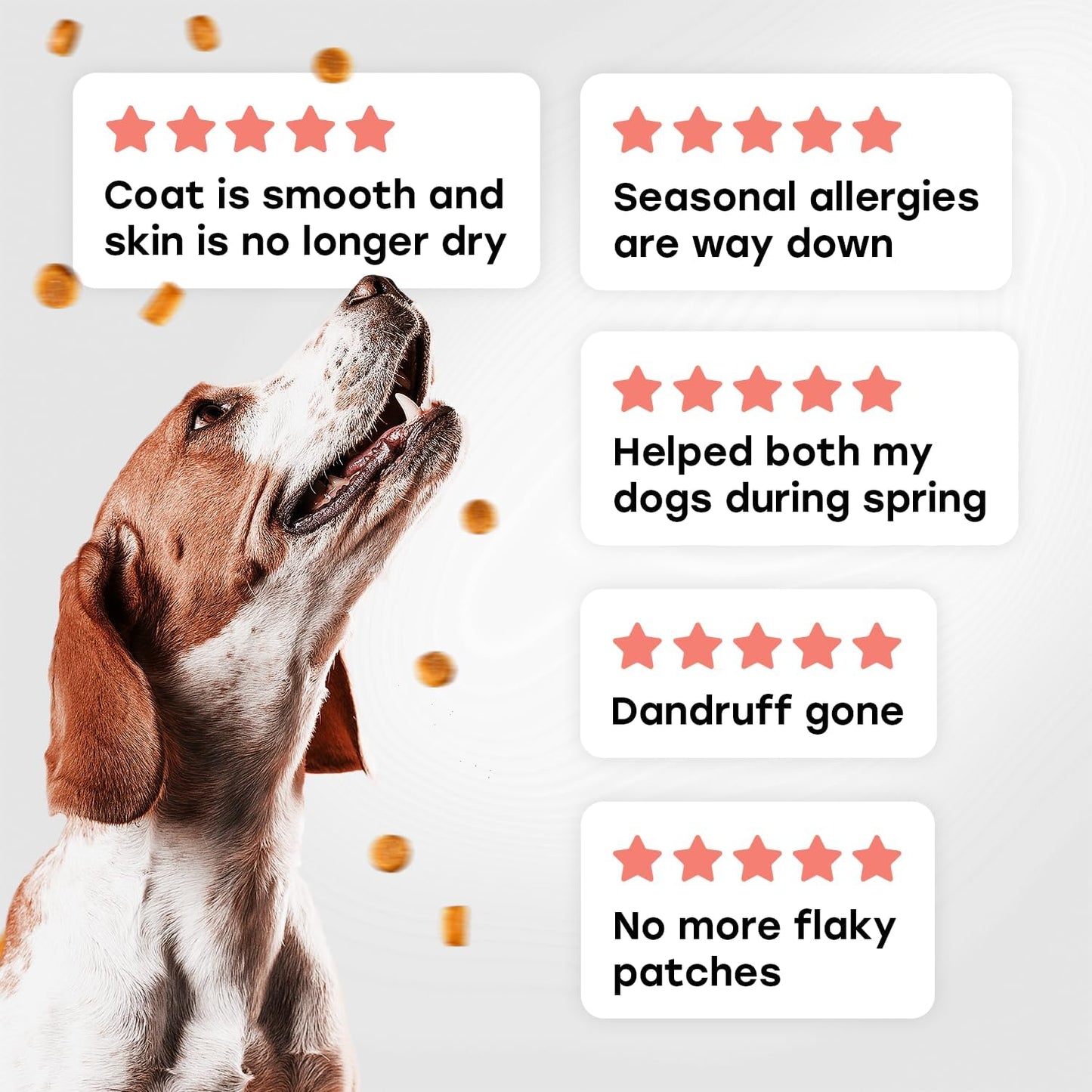 Omega 3 Skin & Coat Chews for Dogs – Wild Salmon Oil, Biotin, Zinc & Vitamin E – Supports Healthy Skin & Coat – 140 Count - Pup Choice - healthy choices for your pup