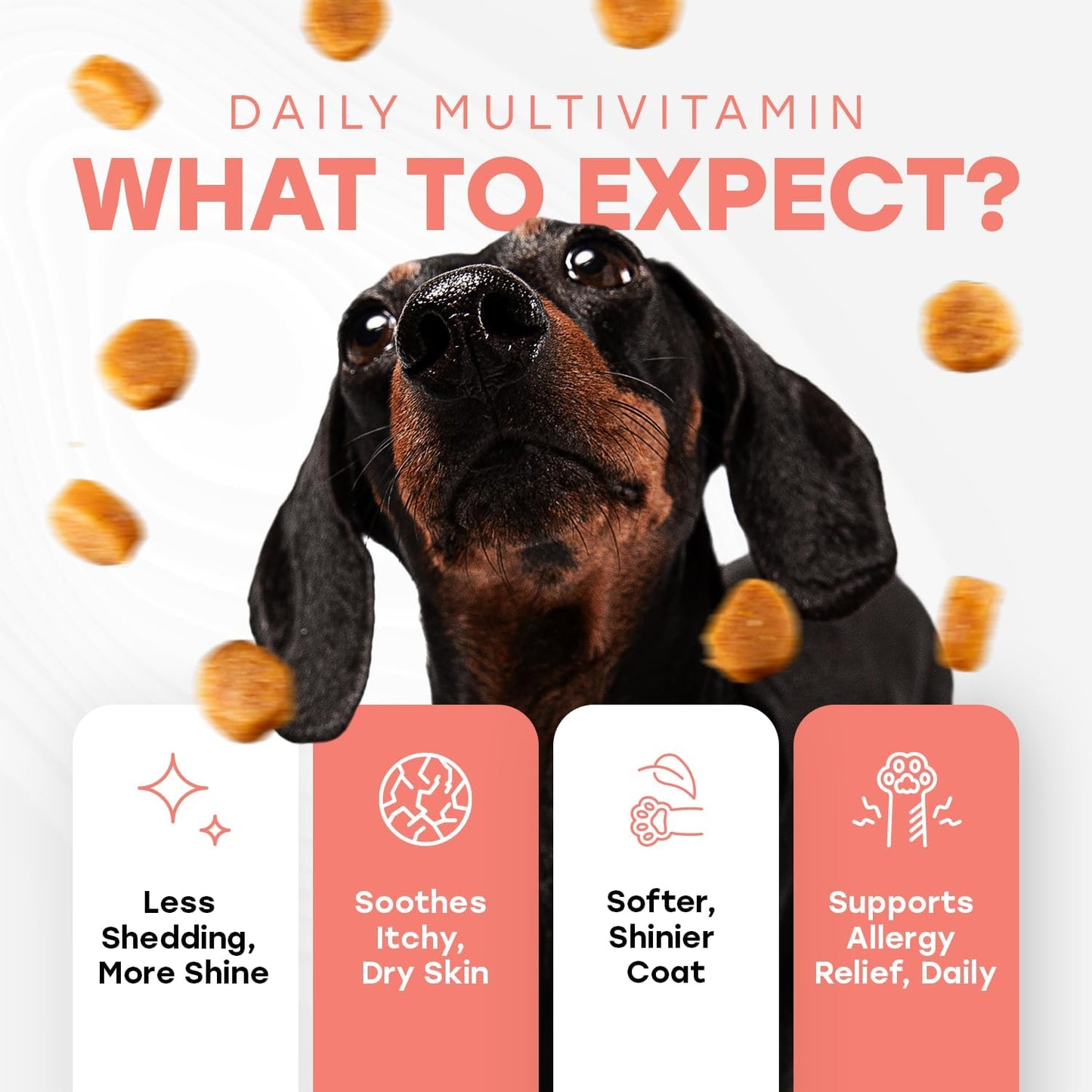 Omega 3 Skin & Coat Chews for Dogs – Wild Salmon Oil, Biotin, Zinc & Vitamin E – Supports Healthy Skin & Coat – 140 Count - Pup Choice - healthy choices for your pup