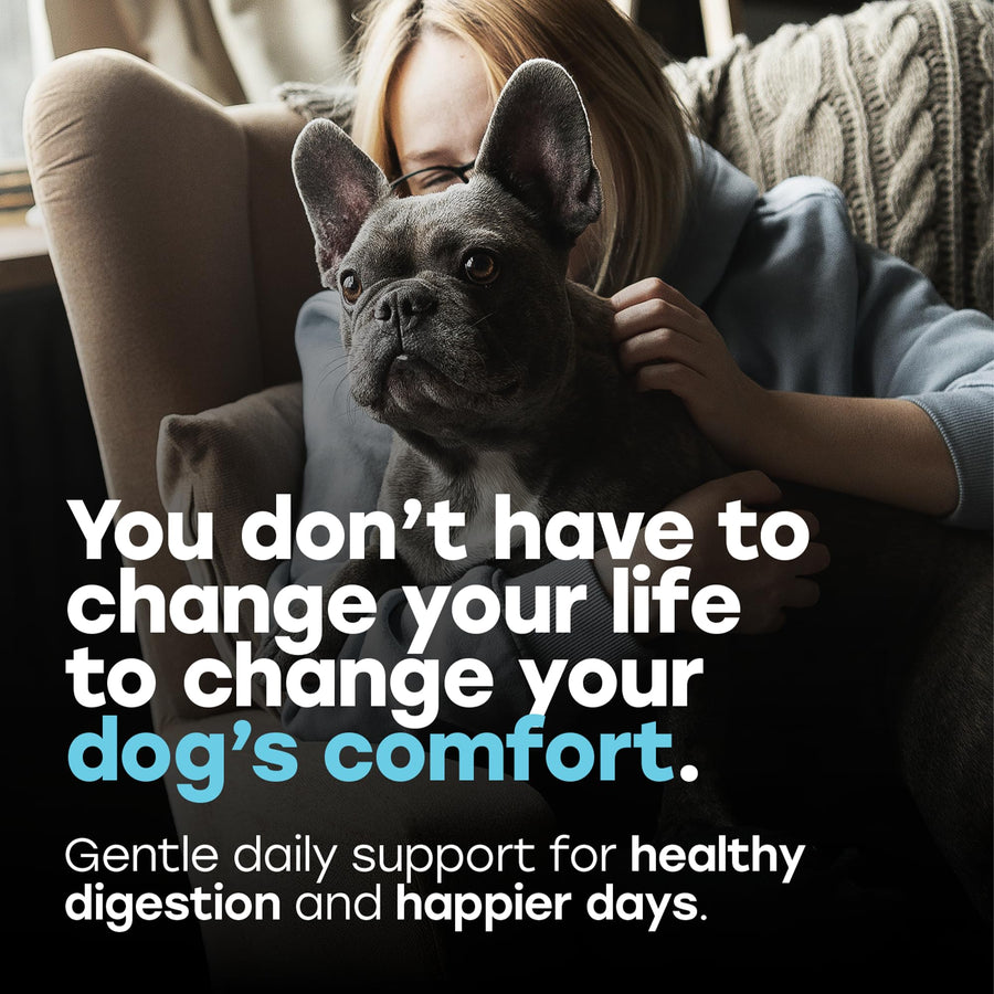 Probiotic Digestive Chews with Prebiotics, Enzymes, Turmeric, Omega-3, Fiber & More. - Pup Choice - healthy choices for your pup