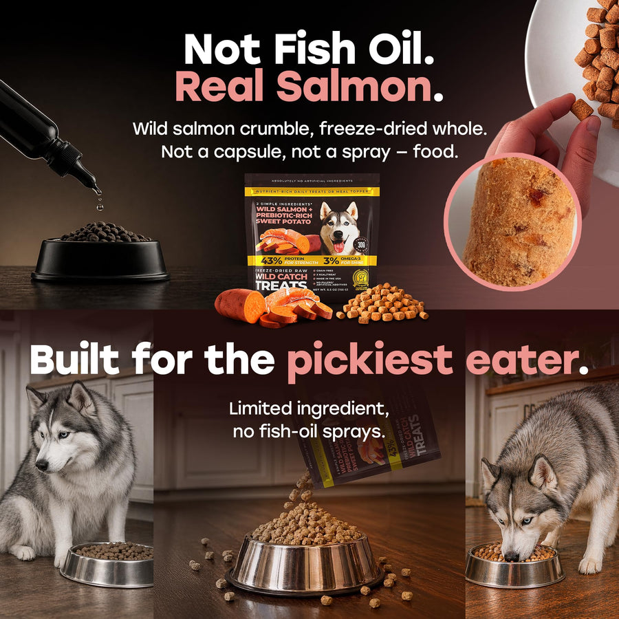 Pup Choice Freeze-Dried Raw Salmon Dog Treats with Sweet Potato – Single Protein, Grain-Free - Pup Choice - healthy choices for your pup
