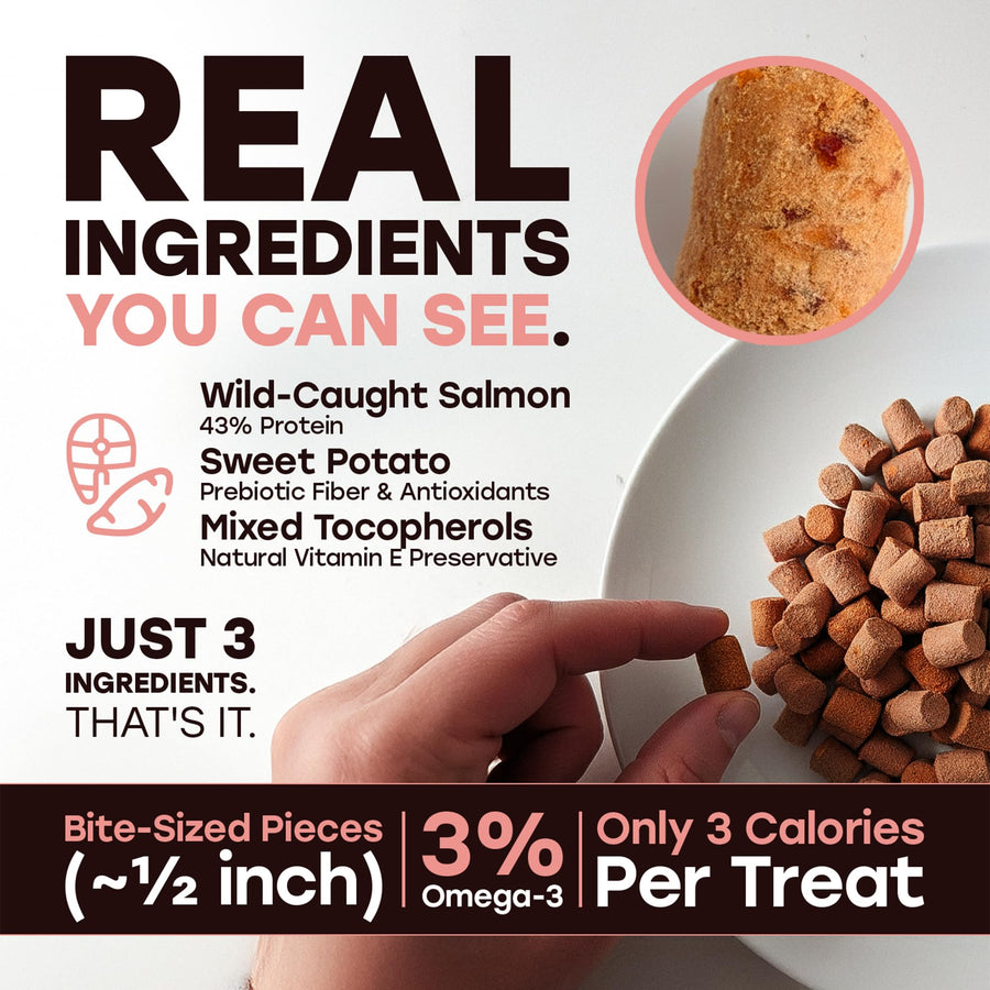 Pup Choice Freeze-Dried Raw Salmon Dog Treats with Sweet Potato – Single Protein, Grain-Free - Pup Choice - healthy choices for your pup