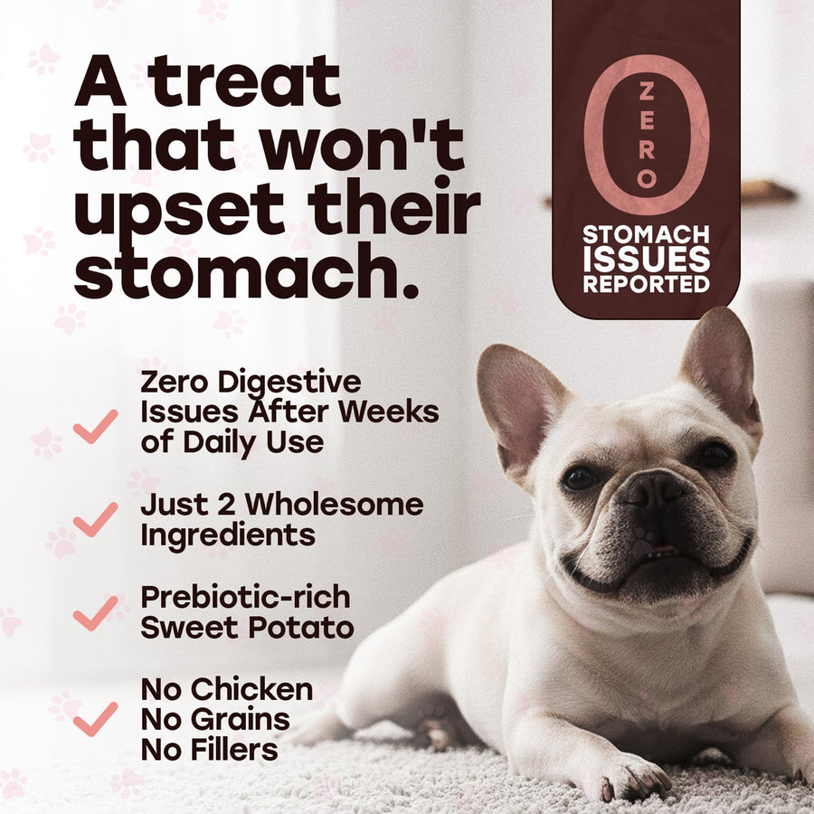 Pup Choice Freeze-Dried Raw Salmon Dog Treats with Sweet Potato – Single Protein, Grain-Free - Pup Choice - healthy choices for your pup