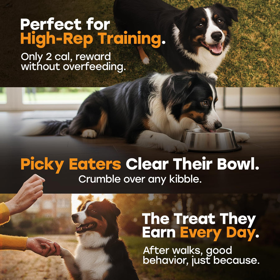 Pup Choice Freeze-Dried Raw Turkey Dog Treats with Pumpkin & Sweet Potato – Single Protein, Grain-Free - Pup Choice - healthy choices for your pup