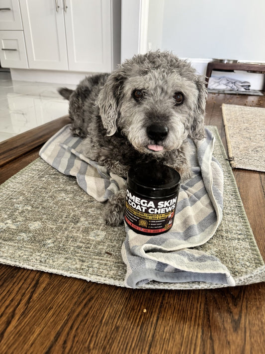 Why Dogs Get Itchy Every Spring — and What Actually Helps - Pup Choice - healthy choices for your pup