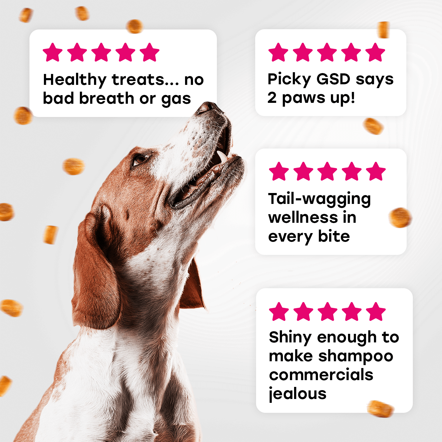 24 - in - 1 Daily Multivitamin Chews with 8 Essential Vitamins, Biotin, Probiotics & Glucosamine - Pup Choice - healthy choices for your pup