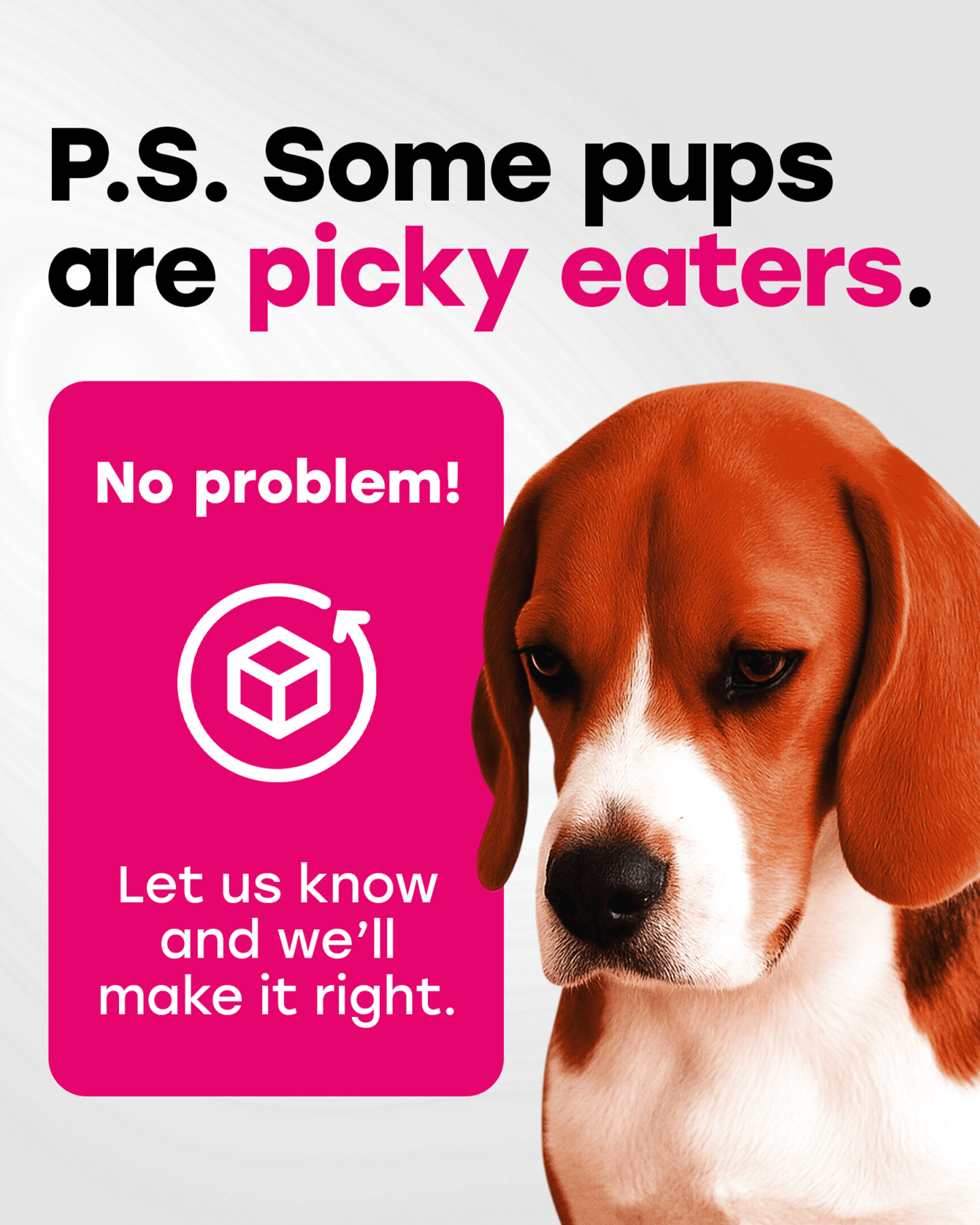 24 - in - 1 Daily Multivitamin Chews with 8 Essential Vitamins, Biotin, Probiotics & Glucosamine - Pup Choice - healthy choices for your pup