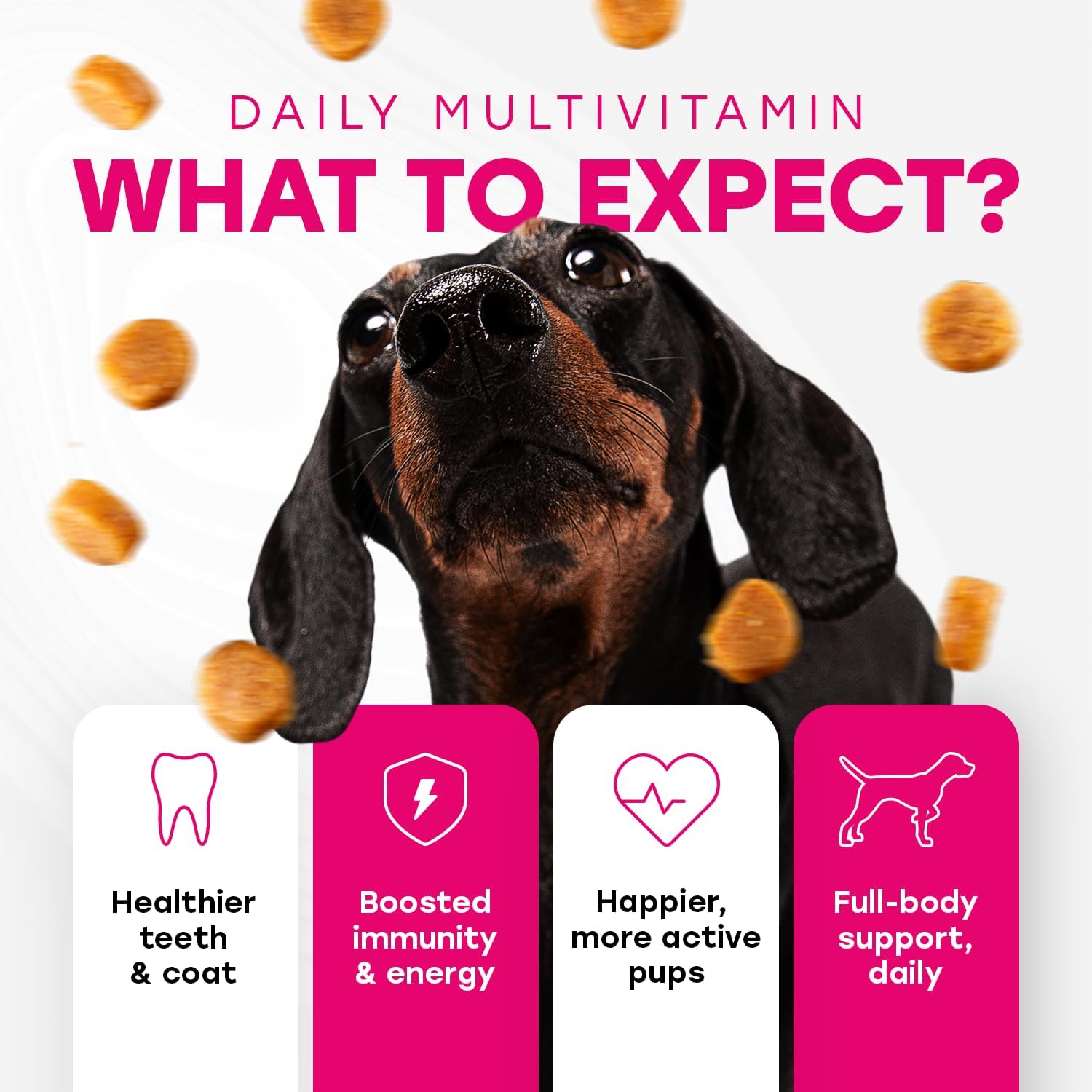 24 - in - 1 Daily Multivitamin Chews with 8 Essential Vitamins, Biotin, Probiotics & Glucosamine - Pup Choice - healthy choices for your pup