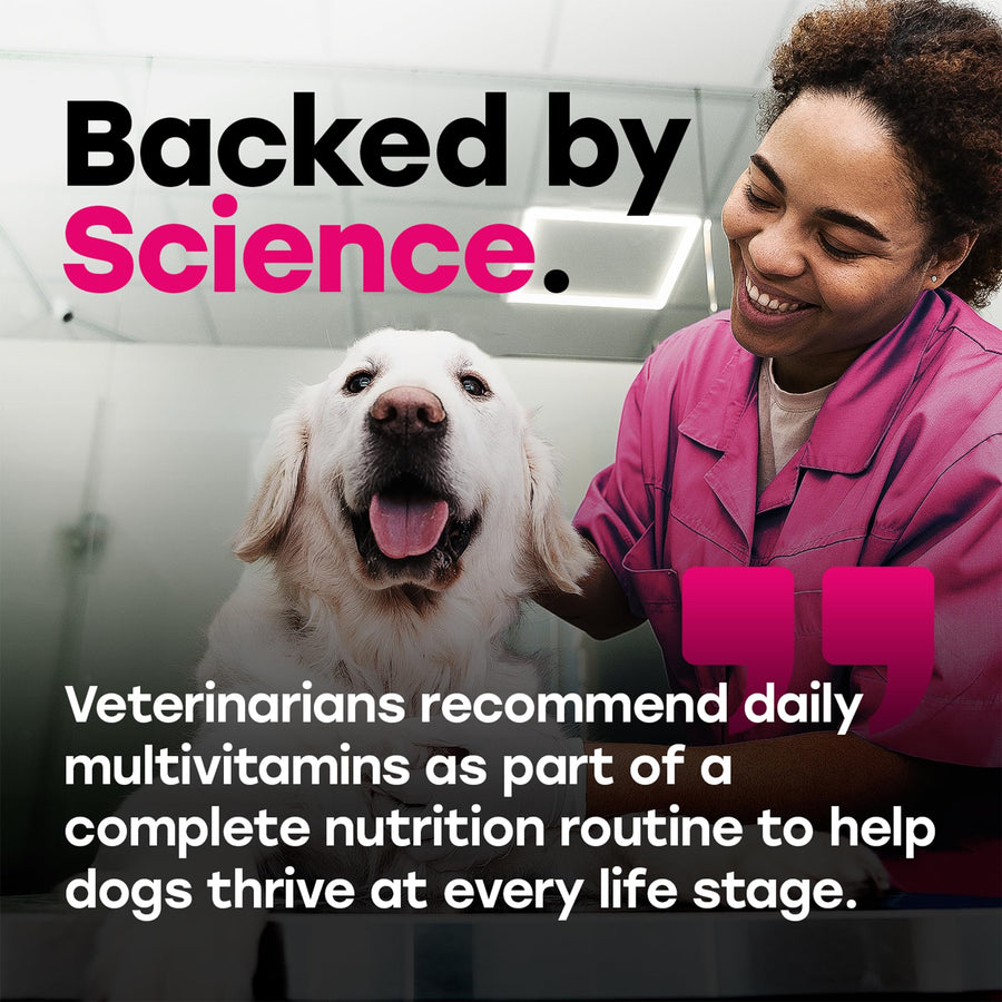 24-in-1 Daily Multivitamin Chews with 8 Essential Vitamins, Biotin, Probiotics & Glucosamine - Pup Choice - healthy choices for your pup