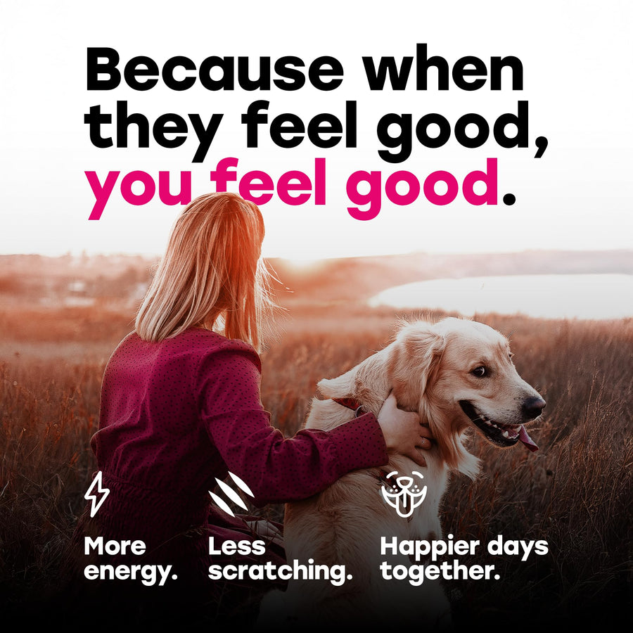 24-in-1 Daily Multivitamin Chews with 8 Essential Vitamins, Biotin, Probiotics & Glucosamine - Pup Choice - healthy choices for your pup