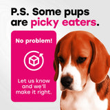 24-in-1 Daily Multivitamin Chews with 8 Essential Vitamins, Biotin, Probiotics & Glucosamine - Pup Choice - healthy choices for your pup