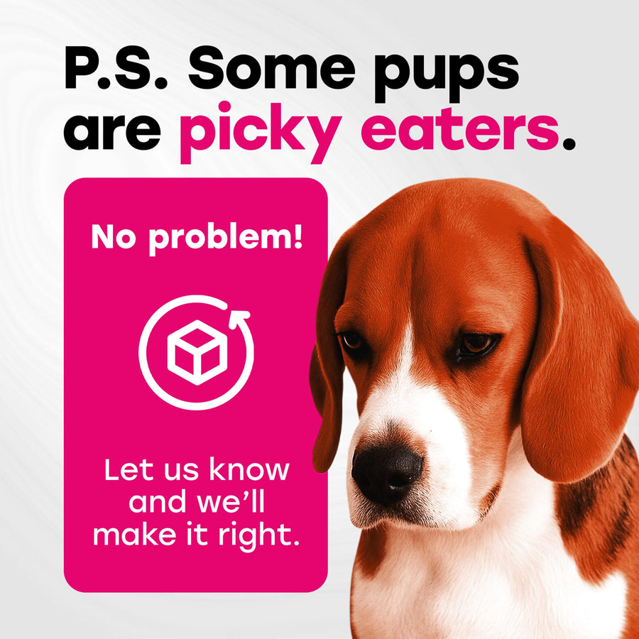 24-in-1 Daily Multivitamin Chews with 8 Essential Vitamins, Biotin, Probiotics & Glucosamine - Pup Choice - healthy choices for your pup