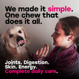 24-in-1 Daily Multivitamin Chews with 8 Essential Vitamins, Biotin, Probiotics & Glucosamine - Pup Choice - healthy choices for your pup