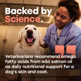 Omega 3 Skin & Coat Chews for Dogs – Wild Salmon Oil, Biotin, Zinc & Vitamin E – Supports Healthy Skin & Coat – 140 Count — Amazon listing image 8 (B0FK52PTQC)
