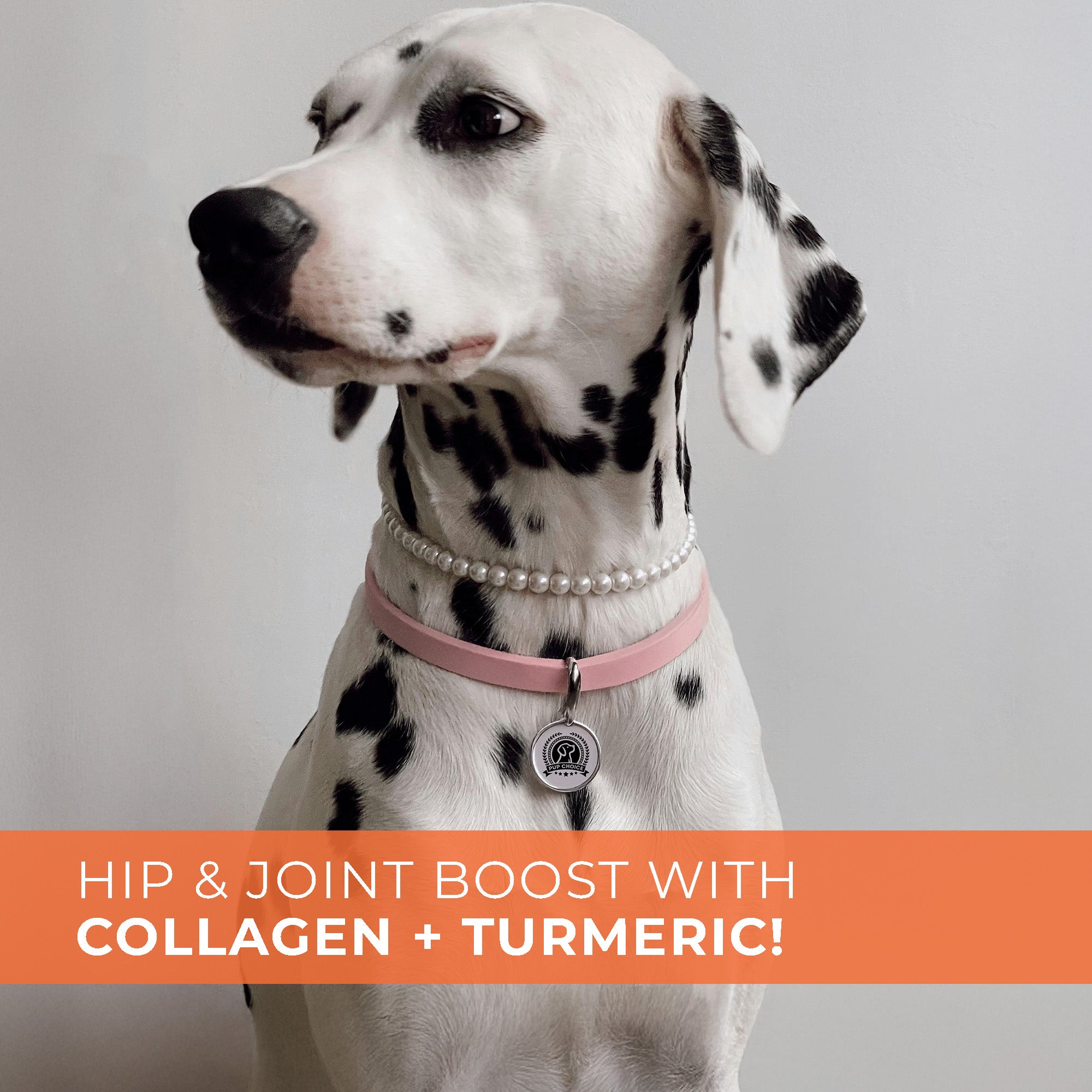 Hip & Joint Mobility Chews with 500 mg Glucosamine, , Collagen, Chondroitin Bovine, Turmeric & More