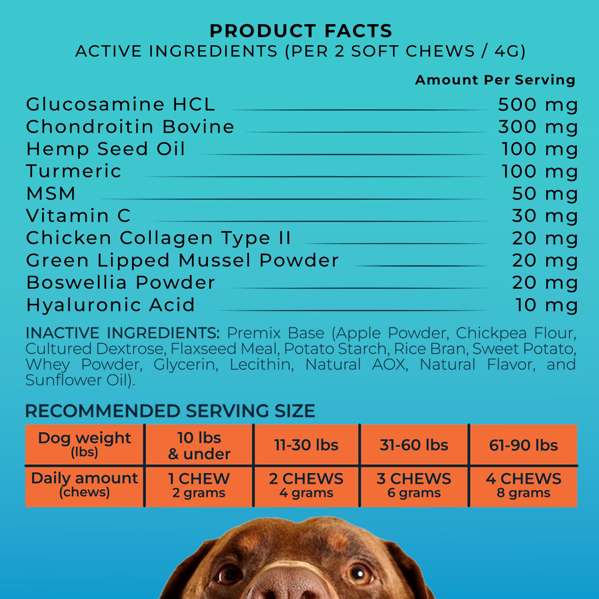Hip & Joint Mobility Chews with 500 mg Glucosamine, , Collagen, Chondroitin Bovine, Turmeric & More