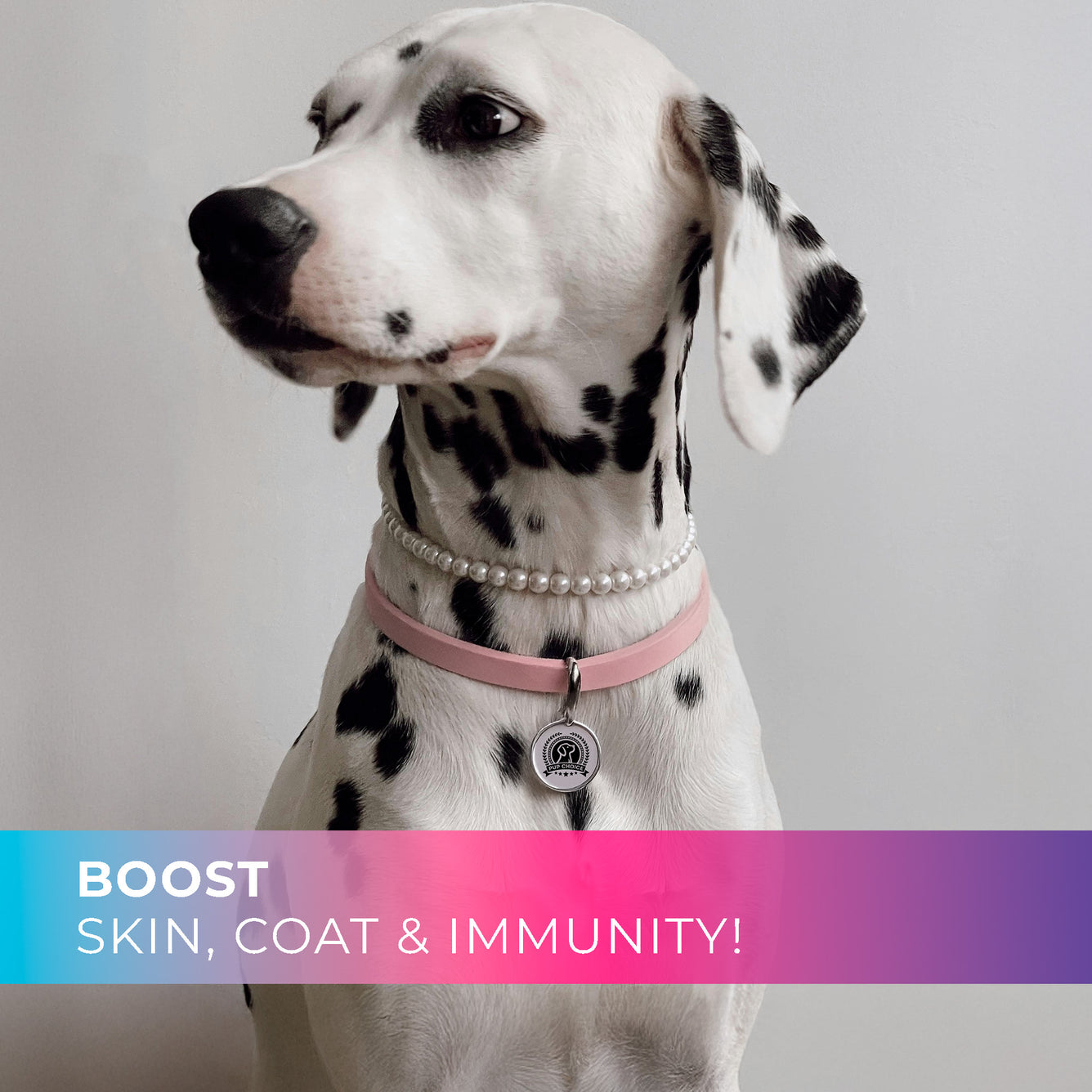 14-in-1 Daily Multivitamin Chews with 8 Essential Vitamins, Biotin, Probiotics & Glucosamine