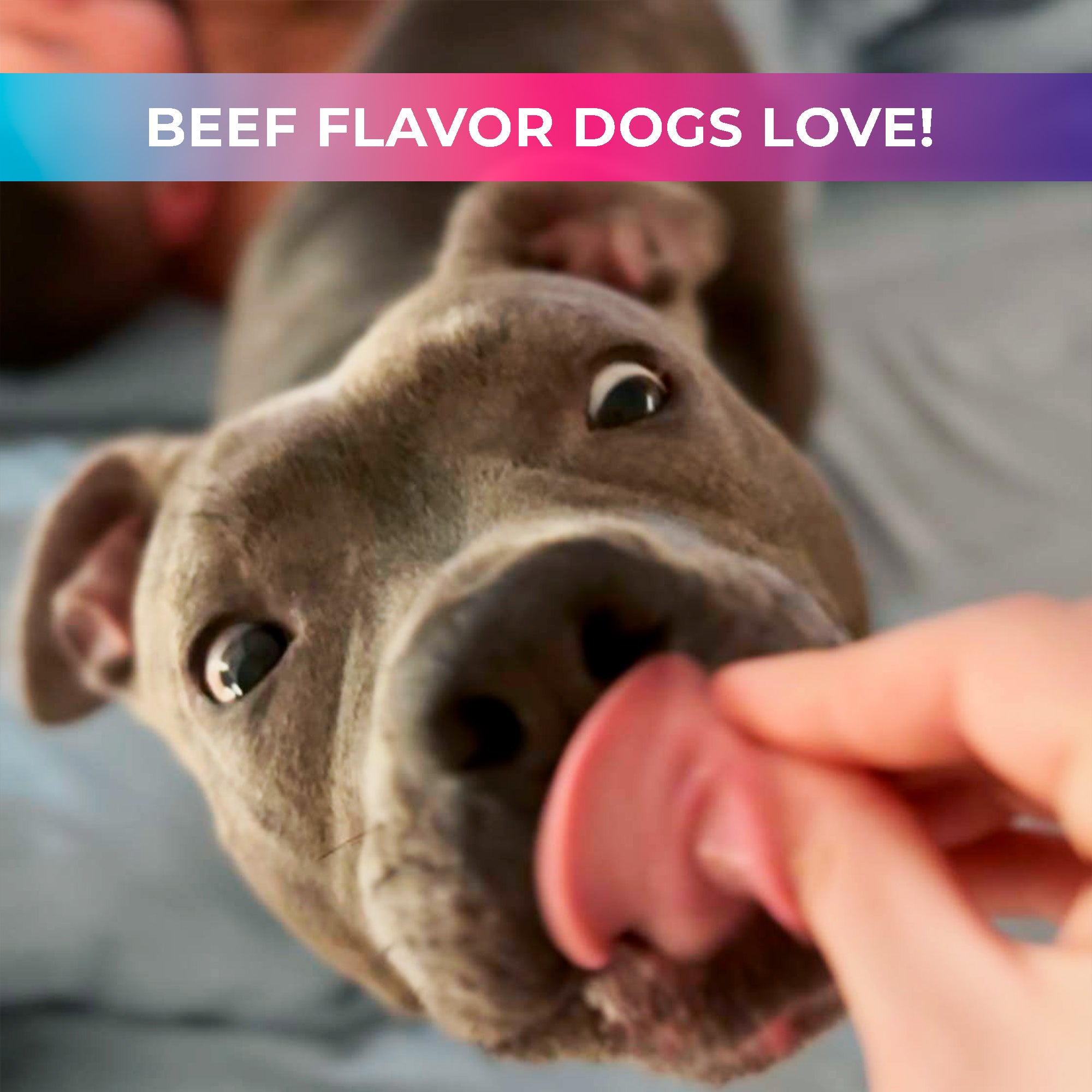14-in-1 Daily Multivitamin Chews with 8 Essential Vitamins, Biotin, Probiotics & Glucosamine