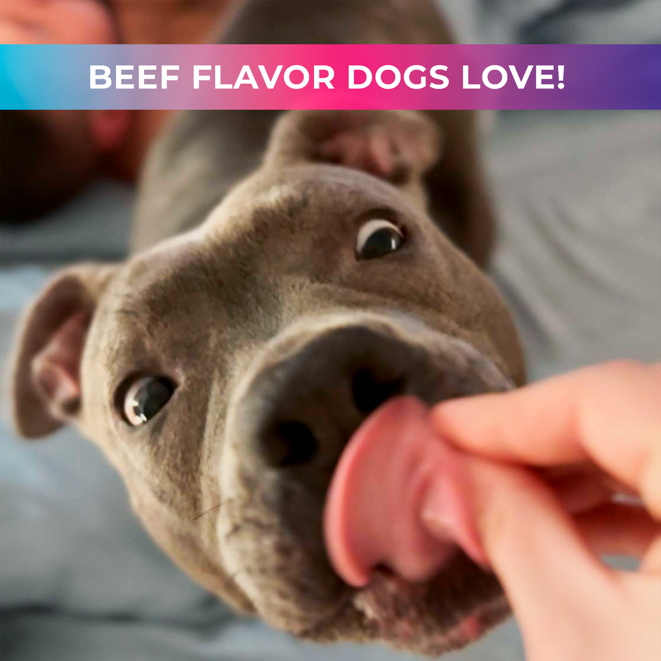 14-in-1 Daily Multivitamin Chews with 8 Essential Vitamins, Biotin, Probiotics & Glucosamine