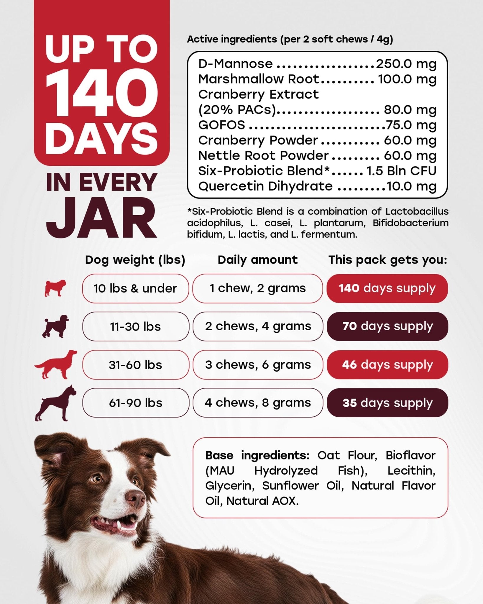 Cranberry Urinary Support Chews for Dogs – 140 Soft Chews with D - Mannose & Probiotics - Pup Choice - healthy choices for your pup