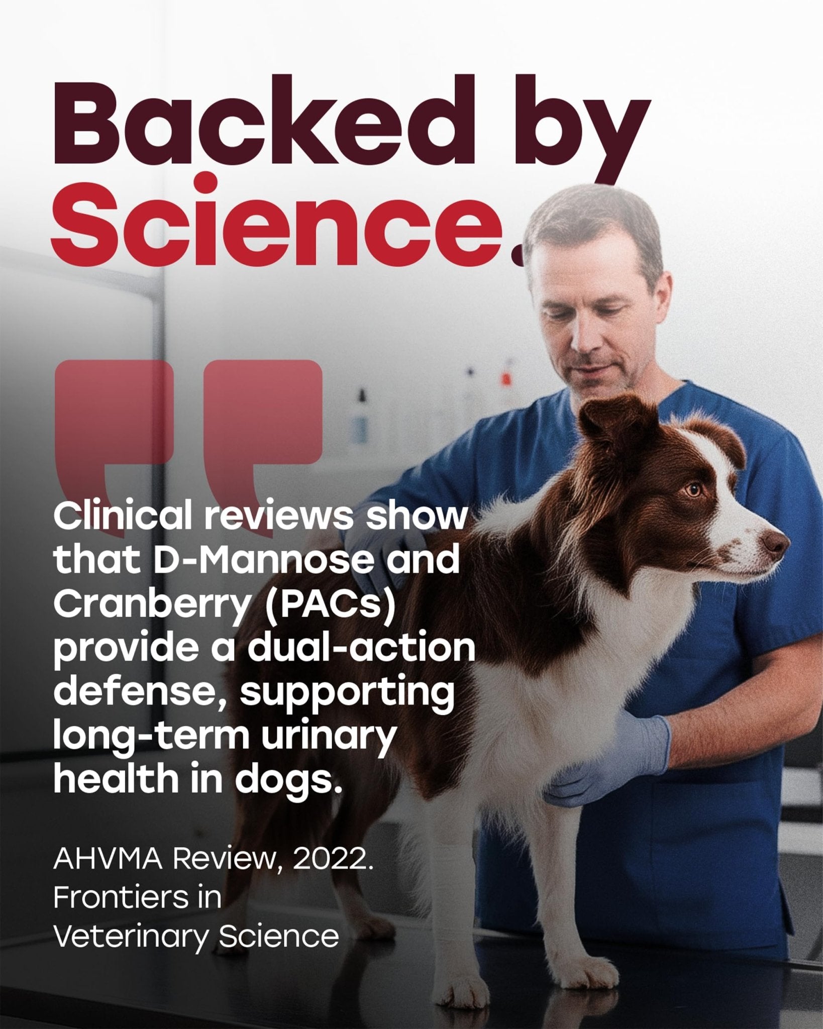 Cranberry Urinary Support Chews for Dogs – 140 Soft Chews with D - Mannose & Probiotics - Pup Choice - healthy choices for your pup