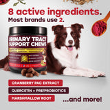Cranberry Urinary Support Chews for Dogs – 140 Soft Chews with D-Mannose & Probiotics - Pup Choice - healthy choices for your pup