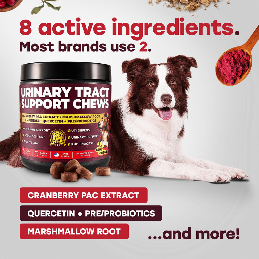 Cranberry Urinary Support Chews for Dogs – 140 Soft Chews with D-Mannose & Probiotics - Pup Choice - healthy choices for your pup