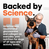 Hip & Joint Mobility Chews with 500 mg Glucosamine, Collagen, Chondroitin Bovine, Turmeric & More - Pup Choice - healthy choices for your pup