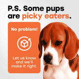 Hip & Joint Mobility Chews with 500 mg Glucosamine, Collagen, Chondroitin Bovine, Turmeric & More - Pup Choice - healthy choices for your pup