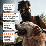 Hip & Joint Mobility Chews with 500 mg Glucosamine, Collagen, Chondroitin Bovine, Turmeric & More - Pup Choice - healthy choices for your pup