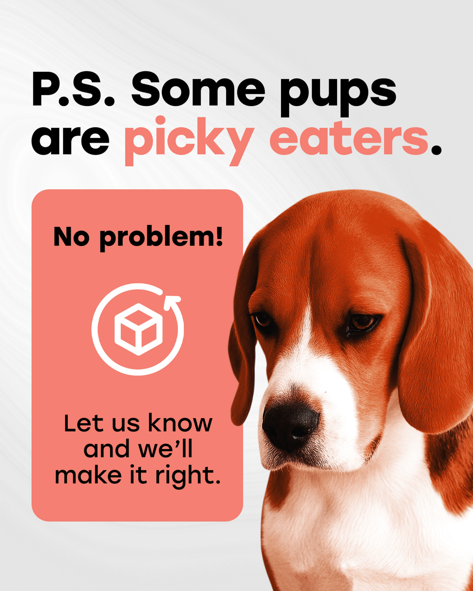 Omega 3 Skin & Coat Chews for Dogs – Wild Salmon Oil, Biotin, Zinc & Vitamin E – Supports Healthy Skin & Coat – 140 Count - Pup Choice - healthy choices for your pup