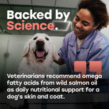 Omega 3 Skin & Coat Chews for Dogs – Wild Salmon Oil, Biotin, Zinc & Vitamin E – Supports Healthy Skin & Coat – 140 Count - Pup Choice - healthy choices for your pup