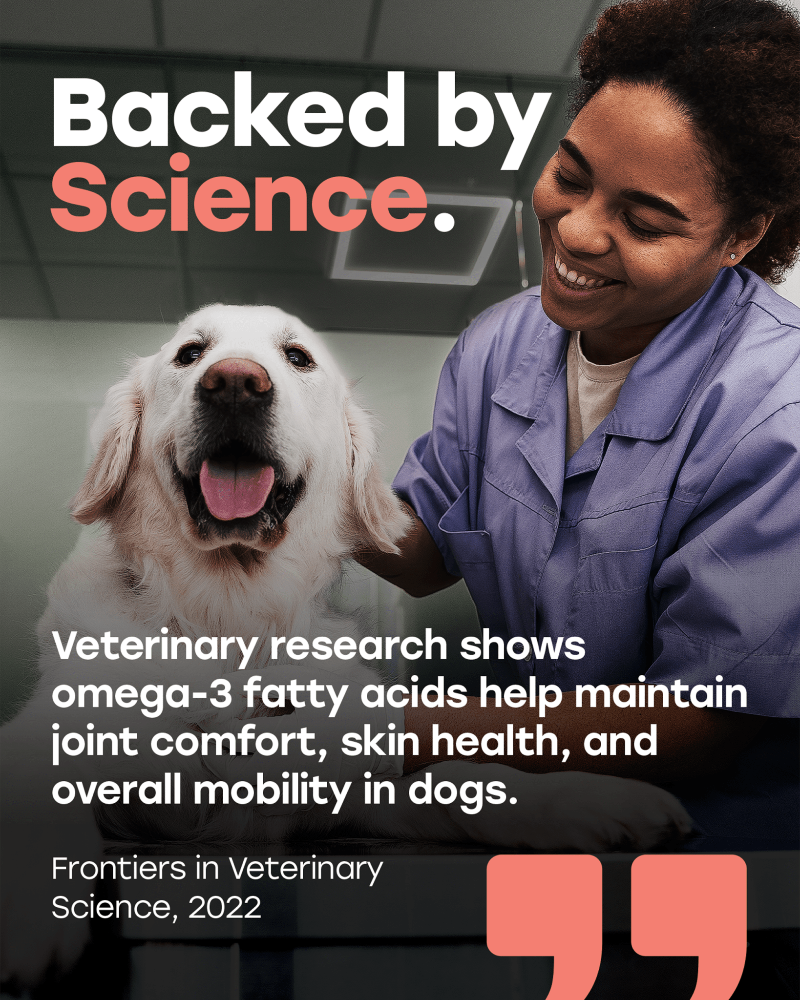 Omega 3 Skin & Coat Chews for Dogs – Wild Salmon Oil, Biotin, Zinc & Vitamin E – Supports Healthy Skin & Coat – 140 Count - Pup Choice - healthy choices for your pup