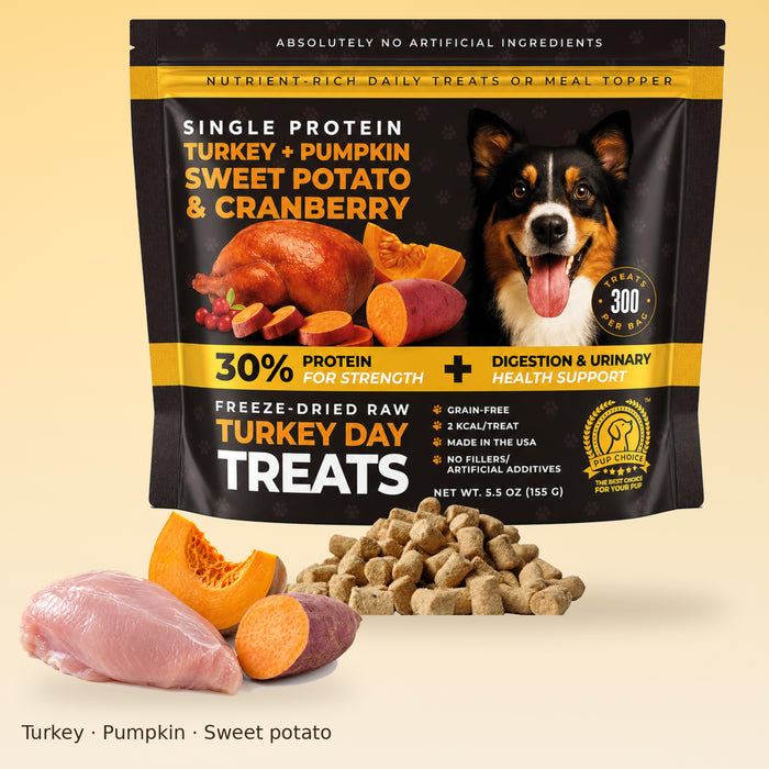 Turkey Recipe Treats