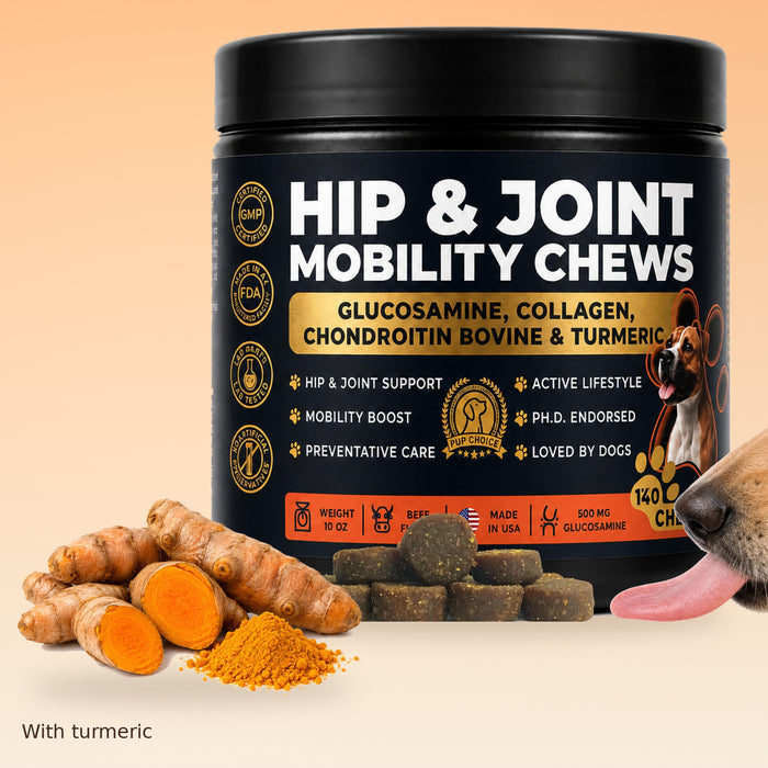 Hip & Joint Mobility