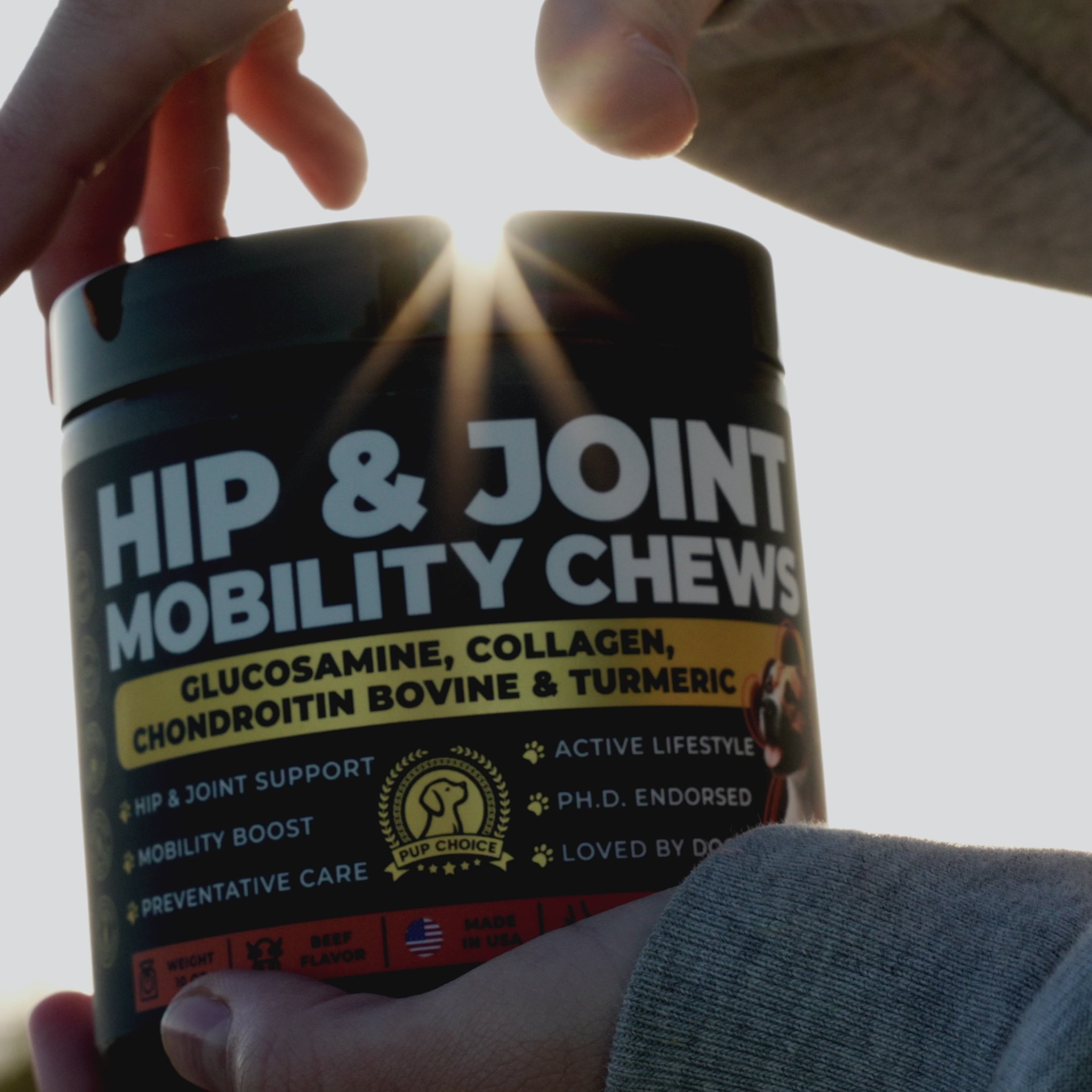 Hip & Joint Mobility Chews with 500 mg Glucosamine, , Collagen, Chondroitin Bovine, Turmeric & More