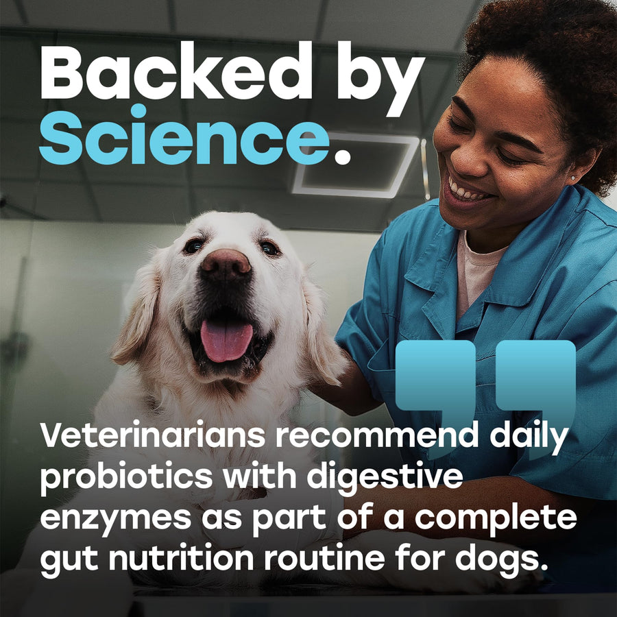 Probiotic Digestive Chews with Prebiotics, Enzymes, Turmeric, Omega-3, Fiber & More. - Pup Choice - healthy choices for your pup