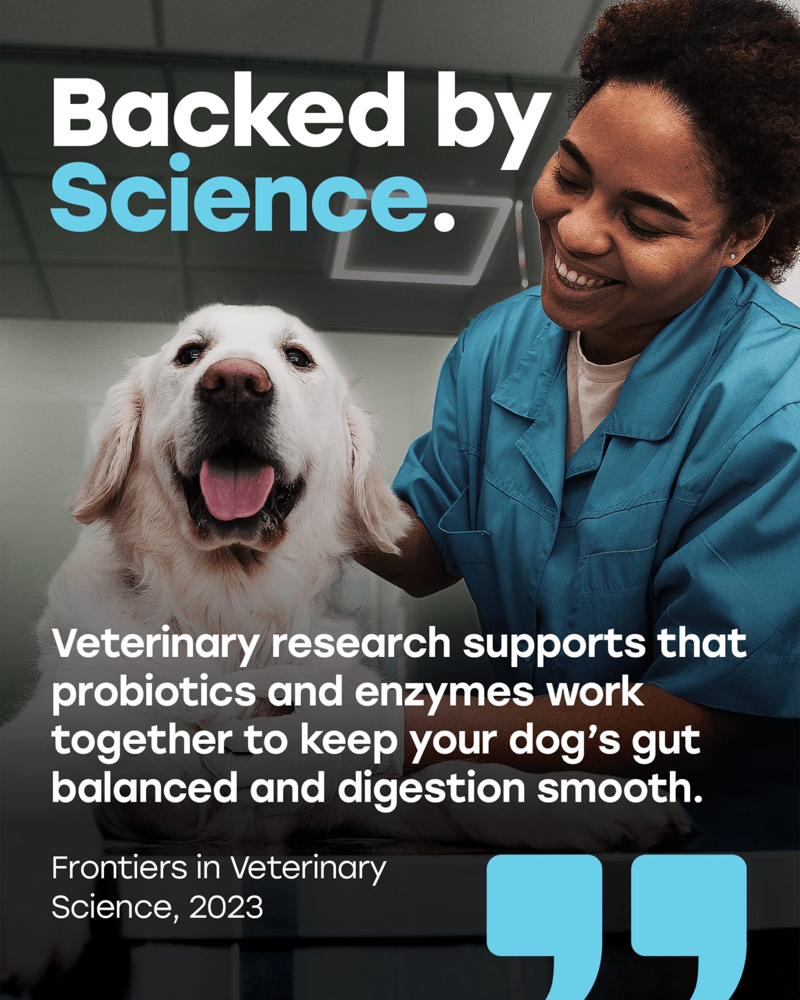 Probiotic Digestive Chews with Prebiotics, Enzymes, Turmeric, Omega - 3, Fiber & More. - Pup Choice - healthy choices for your pup