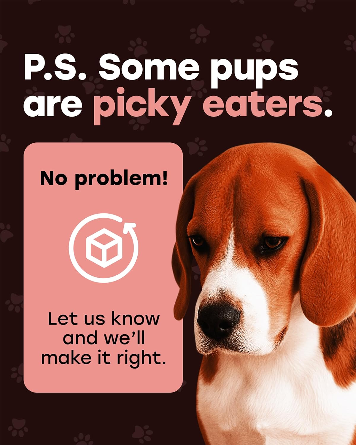 Pup Choice Freeze - Dried Raw Salmon Dog Treats with Sweet Potato – Single Protein, Grain - Free - Pup Choice - healthy choices for your pup