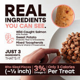 Pup Choice Freeze-Dried Raw Salmon Dog Treats with Sweet Potato – Single Protein, Grain-Free - Pup Choice - healthy choices for your pup
