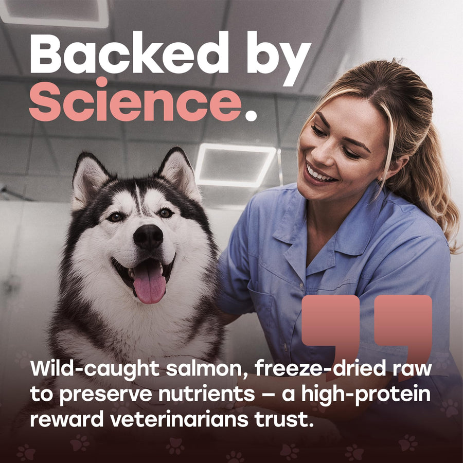 Pup Choice Freeze-Dried Raw Salmon Dog Treats with Sweet Potato – Single Protein, Grain-Free - Pup Choice - healthy choices for your pup