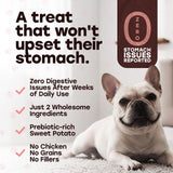 Pup Choice Freeze-Dried Raw Salmon Dog Treats with Sweet Potato – Single Protein, Grain-Free - Pup Choice - healthy choices for your pup